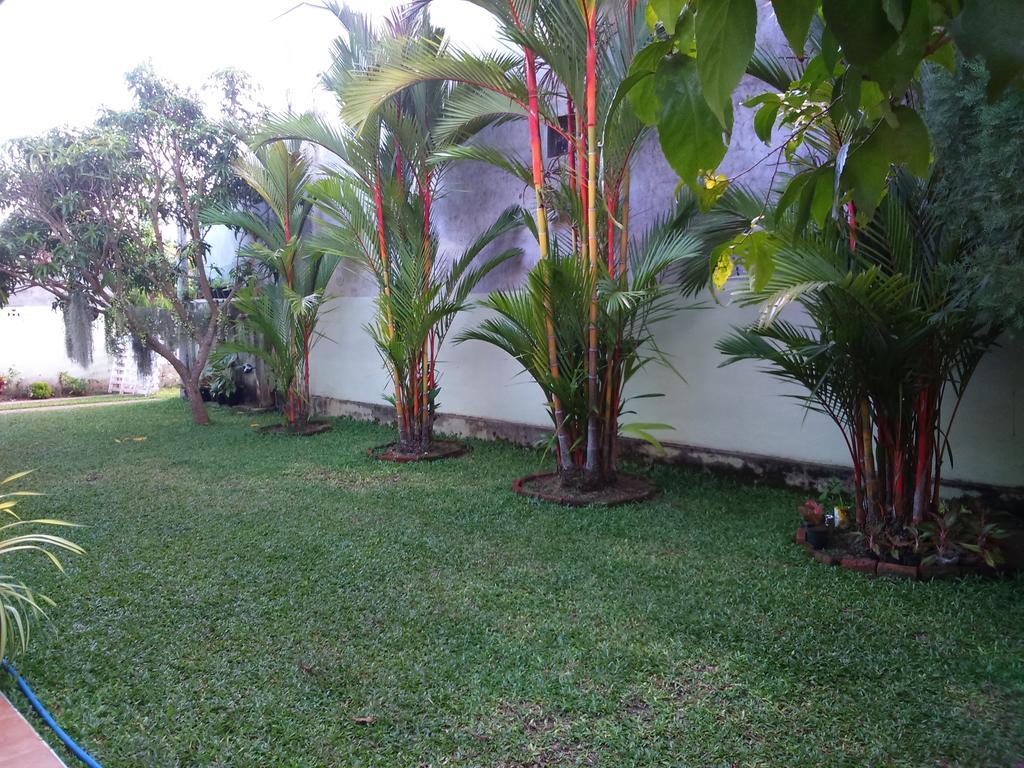 Illumination Stay Negombo Exterior photo